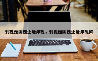 刺槐是国槐还是洋槐，刺槐是国槐还是洋槐树