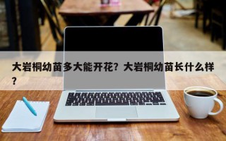 大岩桐幼苗多大能开花？大岩桐幼苗长什么样？