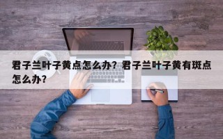 君子兰叶子黄点怎么办？君子兰叶子黄有斑点怎么办？