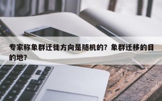 专家称象群迁徙方向是随机的？象群迁移的目的地？