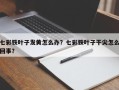 七彩铁叶子发黄怎么办？七彩铁叶子干尖怎么回事？