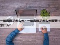 一帆风顺花怎么养？一帆风顺花怎么养需要注意什么？
