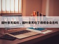 圆叶景天能吃，圆叶景天吃了痔疮会自愈吗