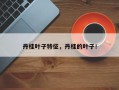 丹桂叶子特征，丹桂的叶子！