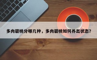 多肉碧桃分哪几种，多肉碧桃如何养出状态？