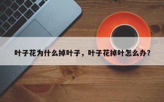 叶子花为什么掉叶子，叶子花掉叶怎么办？