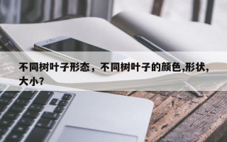 不同树叶子形态，不同树叶子的颜色,形状,大小？