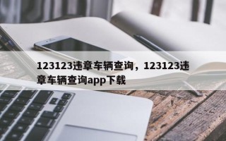 123123违章车辆查询，123123违章车辆查询app下载