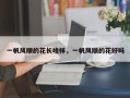 一帆风顺的花长啥样，一帆风顺的花好吗