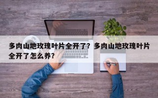 多肉山地玫瑰叶片全开了？多肉山地玫瑰叶片全开了怎么养？