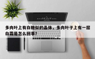 多肉叶上有白糖似的晶体，多肉叶子上有一层白霜是怎么回事？