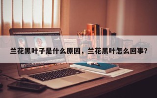 兰花黑叶子是什么原因，兰花黑叶怎么回事？