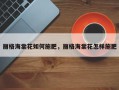 丽格海棠花如何施肥，丽格海棠花怎样施肥