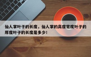仙人掌叶子的长度，仙人掌的高度宽度叶子的厚度叶子的长度是多少！