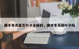 佛手冬天是否叶子全掉的，佛手冬天掉叶子吗