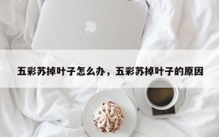 五彩苏掉叶子怎么办，五彩苏掉叶子的原因