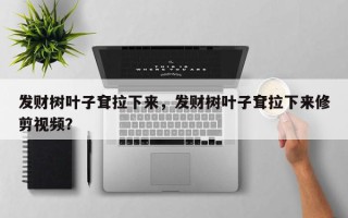 发财树叶子耷拉下来，发财树叶子耷拉下来修剪视频？
