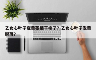 乙女心叶子变黄萎缩干瘪了？乙女心叶子发黄脱落？
