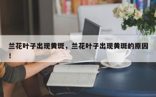 兰花叶子出现黄斑，兰花叶子出现黄斑的原因！