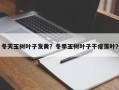 冬天玉树叶子发黄？冬季玉树叶子干瘪落叶？