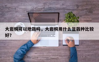 大岩桐可以地栽吗，大岩桐用什么盆栽种比较好？