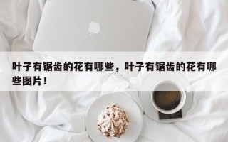 叶子有锯齿的花有哪些，叶子有锯齿的花有哪些图片！
