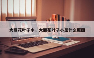 大丽花叶子小，大丽花叶子小是什么原因