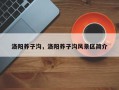 洛阳养子沟，洛阳养子沟风景区简介