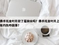 佛手托金叶片软了是缺水吗？佛手托金叶片上有灼伤咋回事？