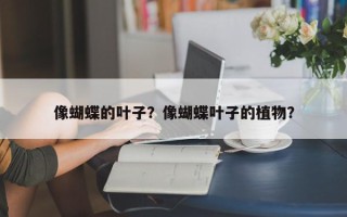 像蝴蝶的叶子？像蝴蝶叶子的植物？