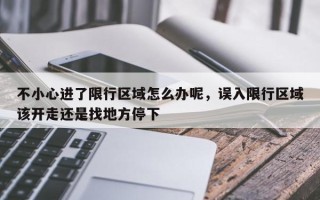 不小心进了限行区域怎么办呢，误入限行区域该开走还是找地方停下