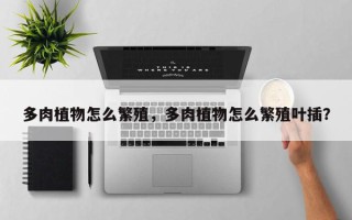 多肉植物怎么繁殖，多肉植物怎么繁殖叶插？