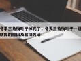 冬季三角梅叶子掉光了，冬天三角梅叶子一碰就掉的原因及解决方法！