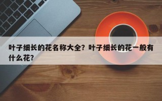 叶子细长的花名称大全？叶子细长的花一般有什么花？
