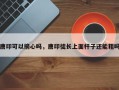 唐印可以摘心吗，唐印徒长上面杆子还能粗吗