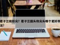 君子兰桃形尖？君子兰圆头和尖头哪个更好养活？