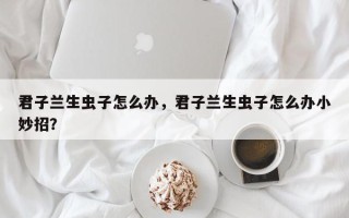 君子兰生虫子怎么办，君子兰生虫子怎么办小妙招？