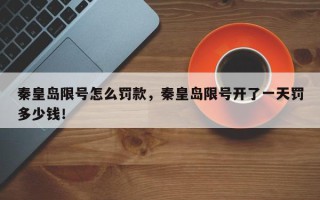 秦皇岛限号怎么罚款，秦皇岛限号开了一天罚多少钱！