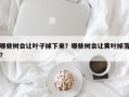 哪些树会让叶子掉下来？哪些树会让黄叶掉落？