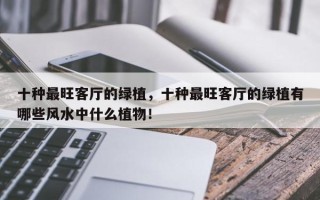 十种最旺客厅的绿植，十种最旺客厅的绿植有哪些风水中什么植物！