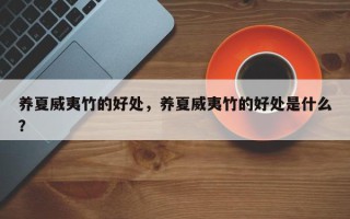 养夏威夷竹的好处，养夏威夷竹的好处是什么？