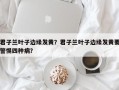 君子兰叶子边缘发黄？君子兰叶子边缘发黄要警惕四种病？