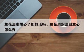 兰花浇水烂心了能救活吗，兰花浇水浇到兰心怎么办