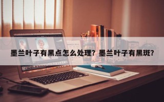 墨兰叶子有黑点怎么处理？墨兰叶子有黑斑？