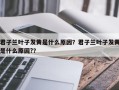 君子兰叶子发黄是什么原因？君子兰叶子发黄是什么原因?？