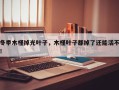 冬季木槿掉光叶子，木槿叶子都掉了还能活不！