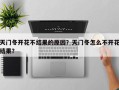 天门冬开花不结果的原因？天门冬怎么不开花结果？