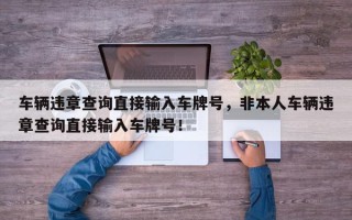 车辆违章查询直接输入车牌号，非本人车辆违章查询直接输入车牌号！