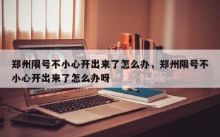 郑州限号不小心开出来了怎么办，郑州限号不小心开出来了怎么办呀