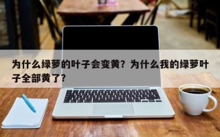 为什么绿萝的叶子会变黄？为什么我的绿萝叶子全部黄了？